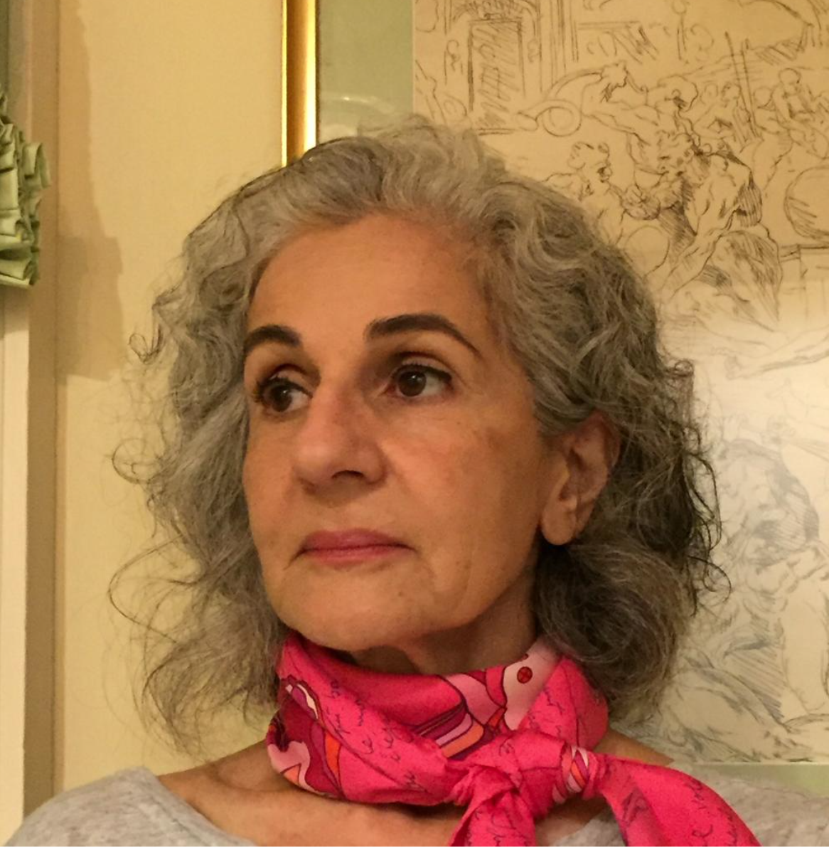 anita babikian