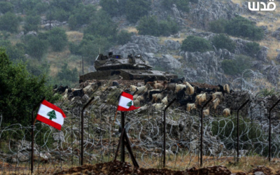 Denounce the targeting of civilians  Uphold the obligations of the International Humanitarian Law Preventing Lebanon from being utilized as a battleground for furthering regional interests